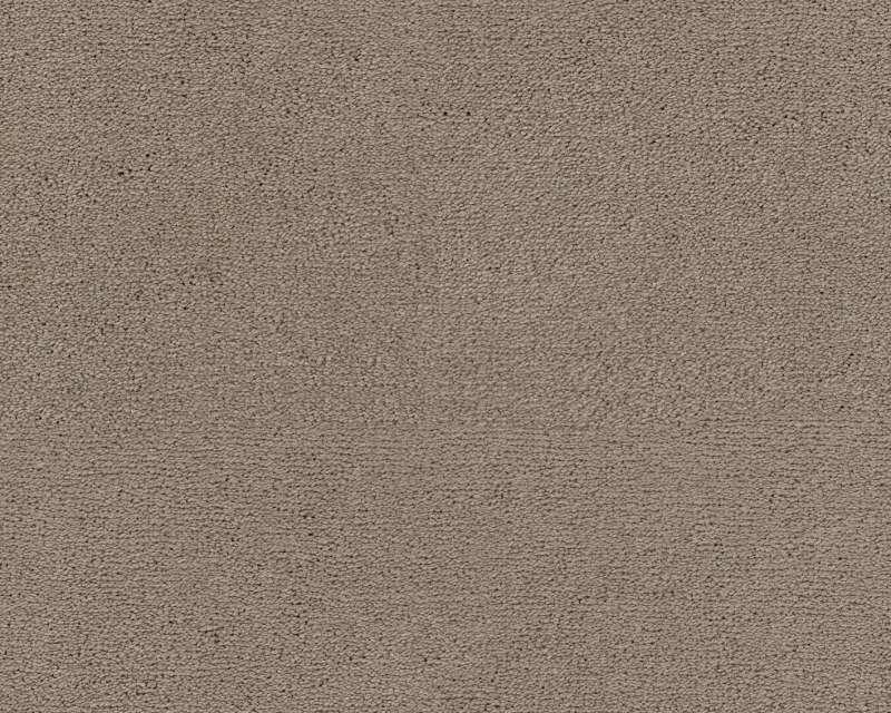 Celeste - 421 Bieber